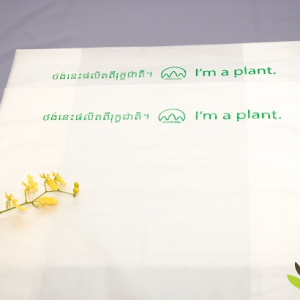TÚI PHẲNG